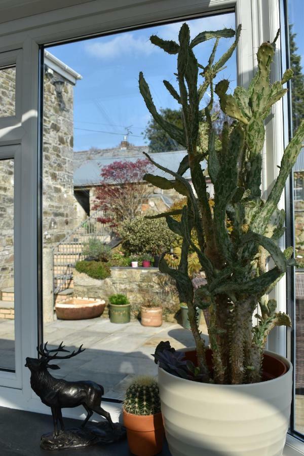 Treveighan Farmhouse Saint Teath Εξωτερικό φωτογραφία